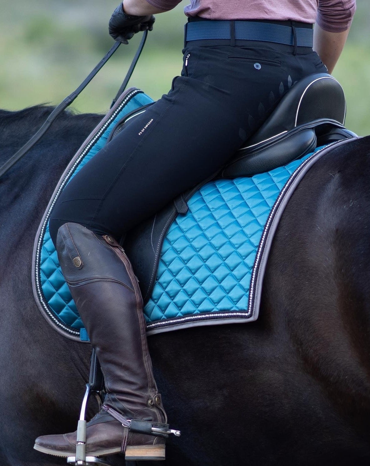 Dressage, Morning River
