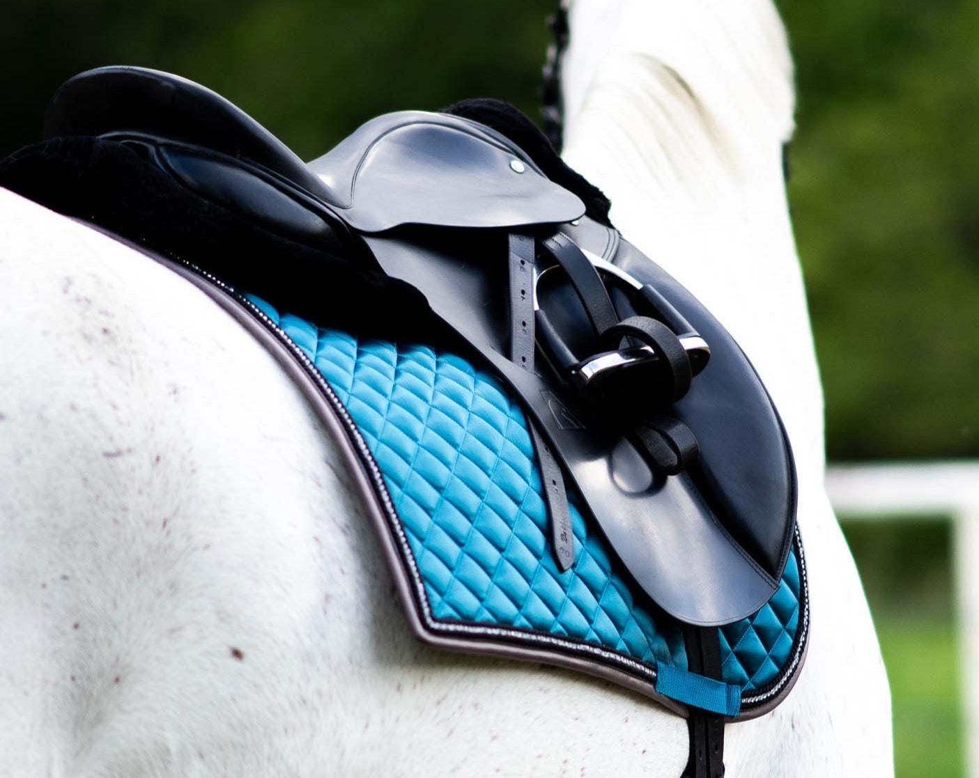 Dressage, Morning River