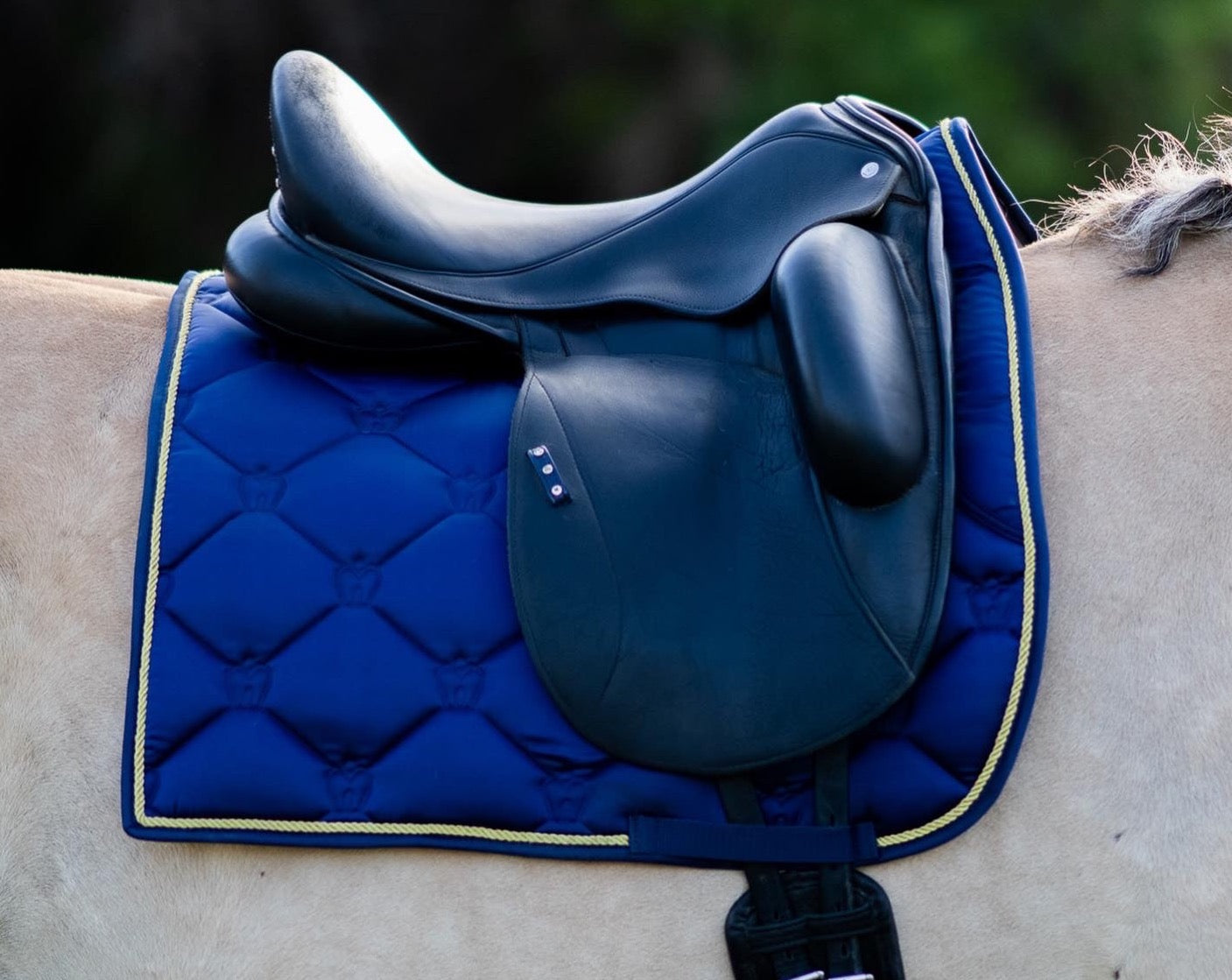 Dressage, Evening Lake